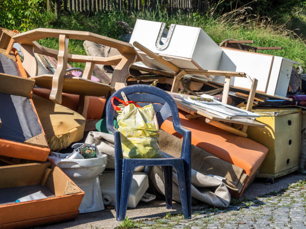 Best Electronics Removal Services  in Riverview, FL